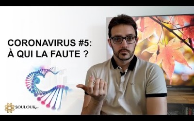 Coronavirus #5 : À qui la faute ?
