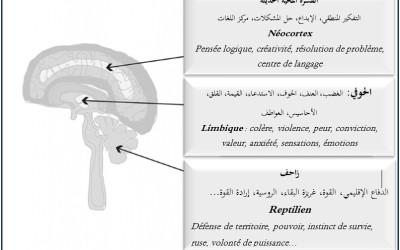 علم النفس كلمة واحدة